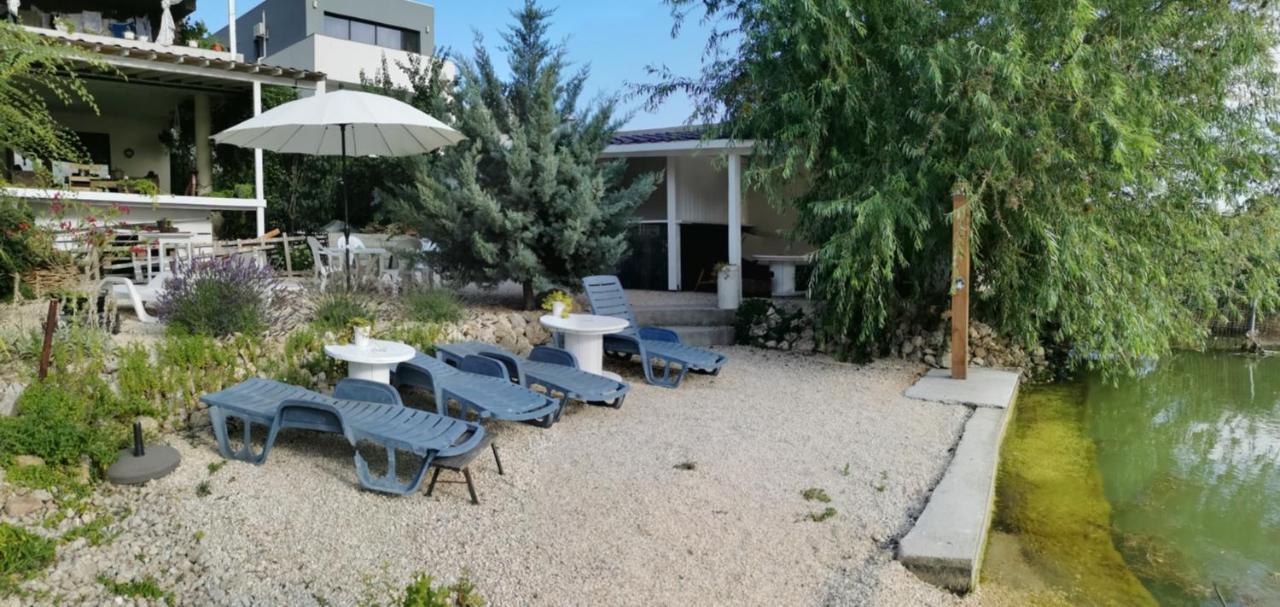 Vila Zuzette Hotel Constanţa Eksteriør billede